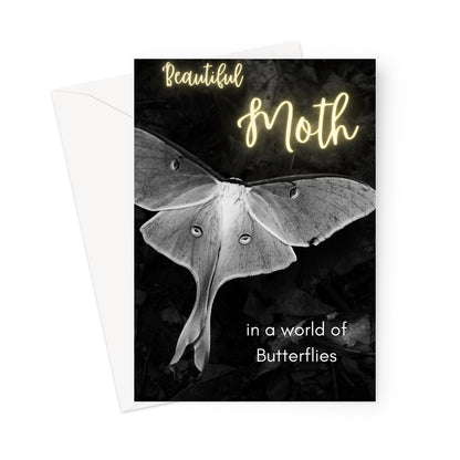 Beautiful Moth Greeting Card