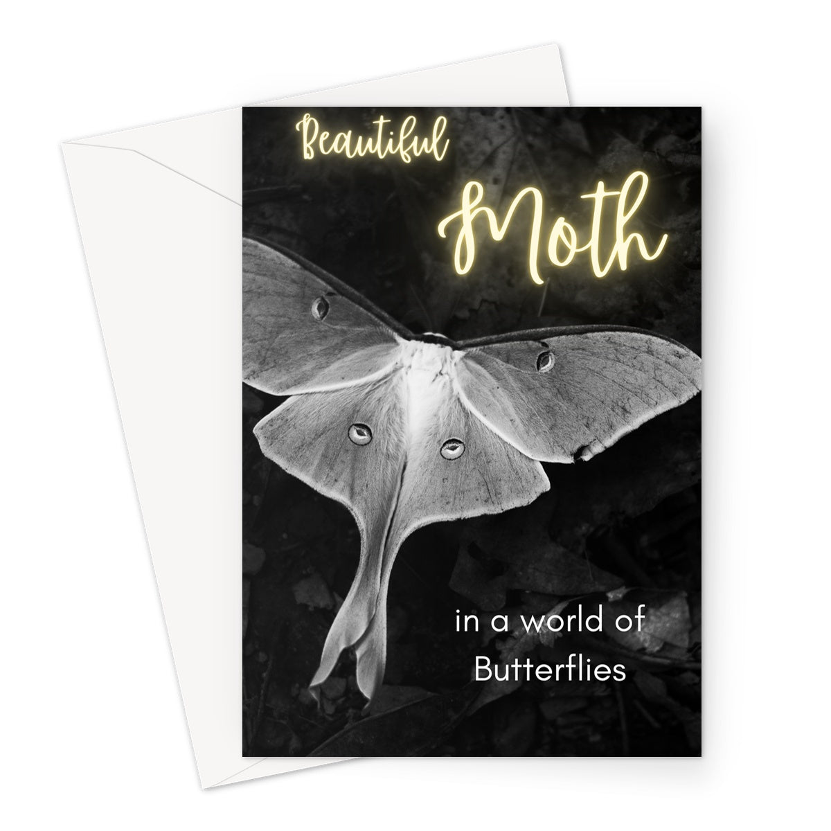 Beautiful Moth Greeting Card