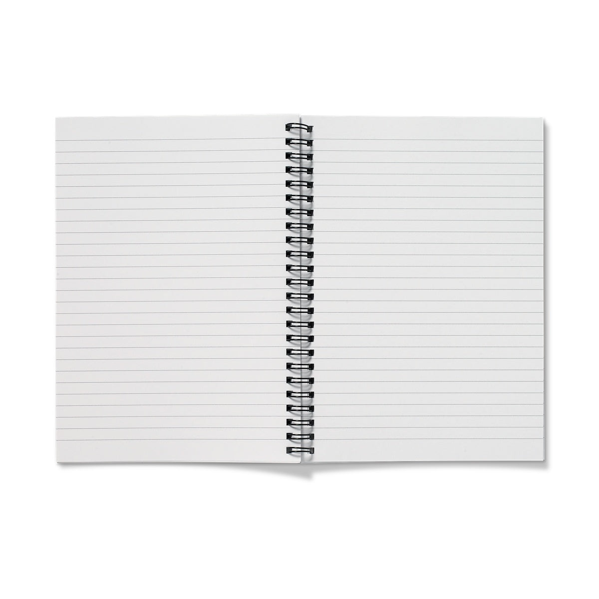 Make These the Good Old Days Notebook